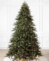 Árvore de Natal California Baby Redwood com Galhos Articulados, Suporte Metálico e Micro LEDs Embutidos